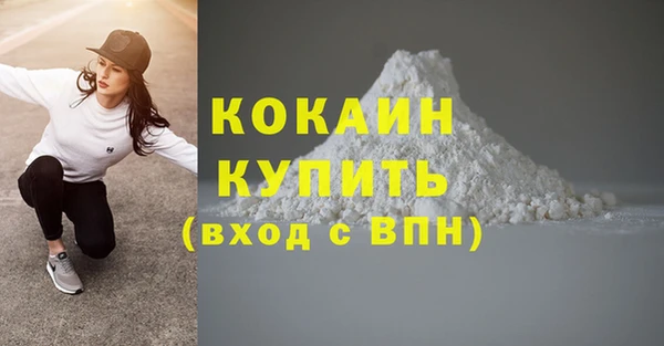 стаф Киренск