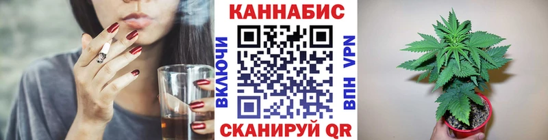 MEGA как войти  цены наркотик  Сурск  Бошки марихуана семена 